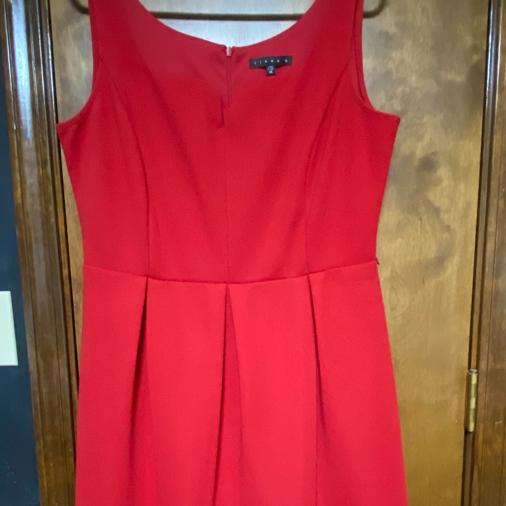 Tiana B Sleeveless V-Neck Fit and Flare Dress